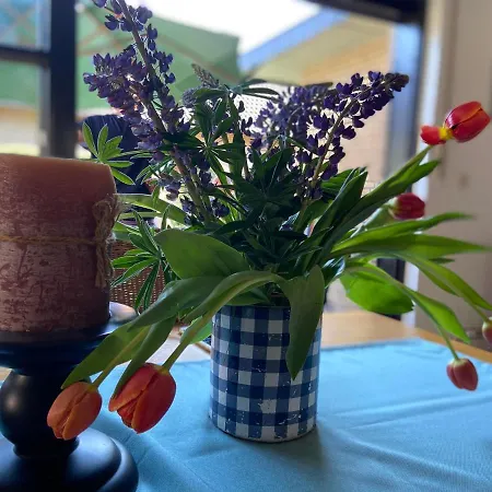 Wacholderhain * Haselünne