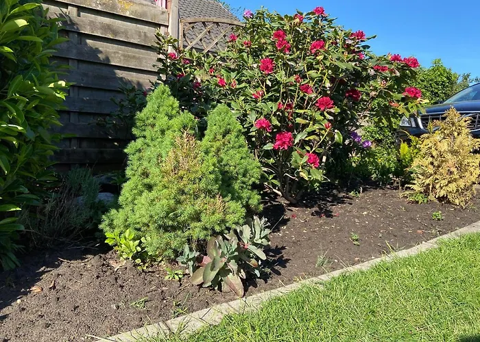 Wacholderhain Vakantiehuis Haselünne