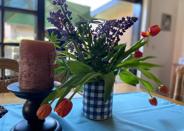 Wacholderhain * Haselünne