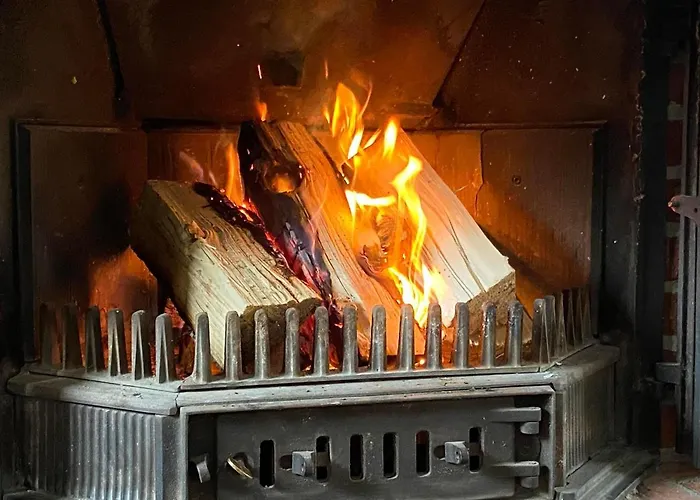 Vakantiehuis Wacholderhain Haselünne