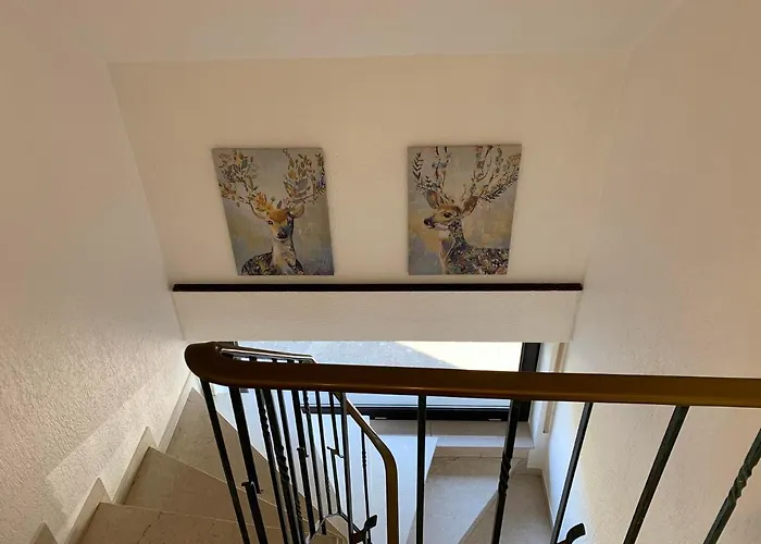 Wacholderhain Haselünne